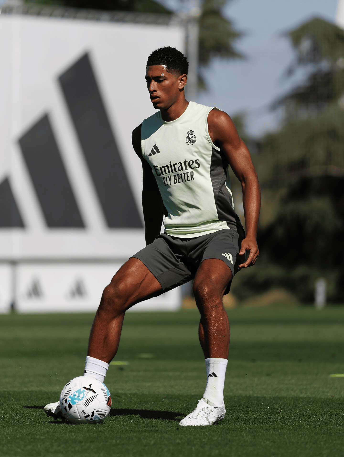 贝林厄姆社, img